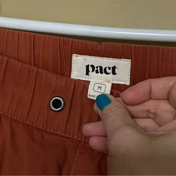 Pact Daily Twill Pants in Baked Clay - Picture 3 of 4
